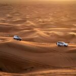 morning desert safari dubai