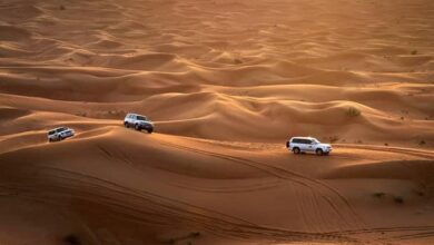 morning desert safari dubai